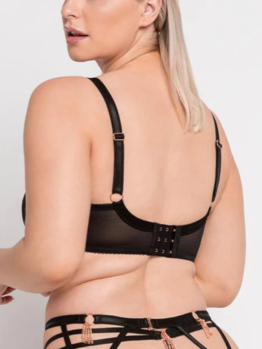 Scantilly Unchained ST016101 Black